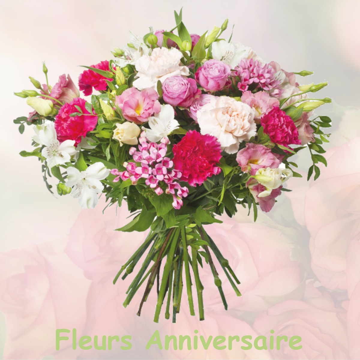 fleurs anniversaire CABRIERES-D-AVIGNON
